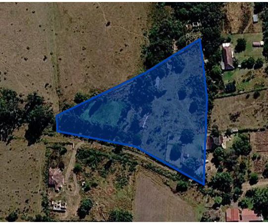 4 Bedroom Property for Sale in Koppies Free State